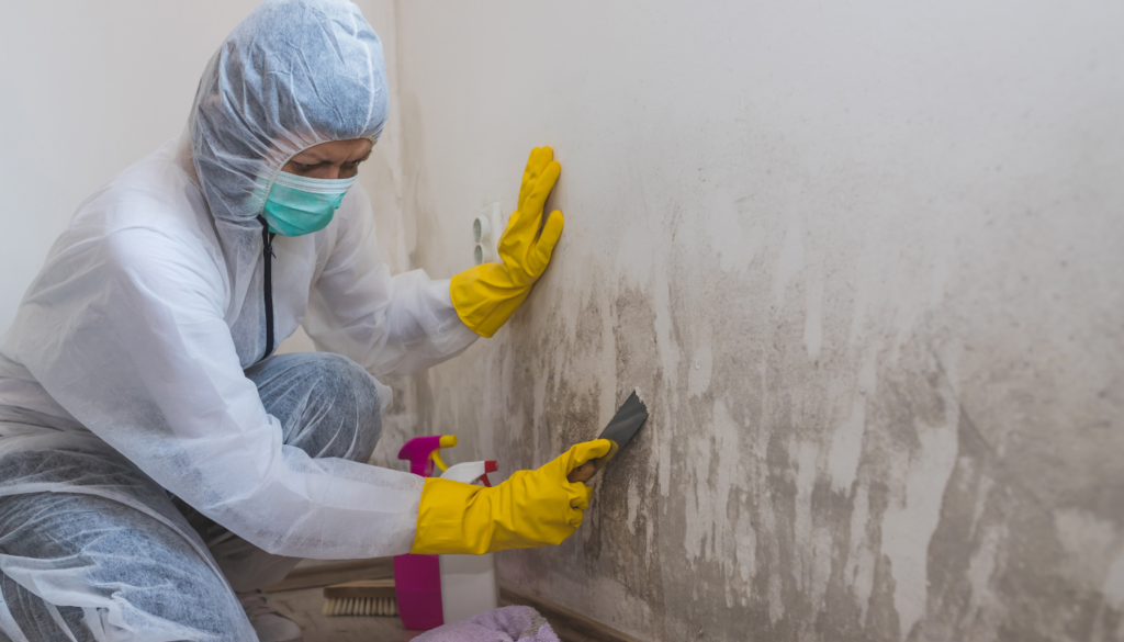 Licensed Water Damage & Mold Experts