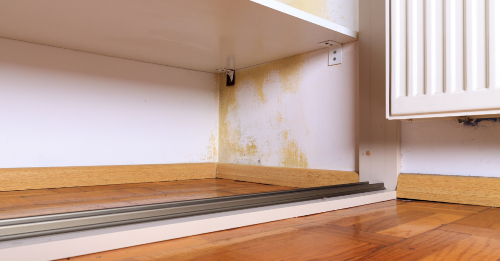 All About Restoration Blog Post - Best Practices for Handling Water Extraction After Flooding