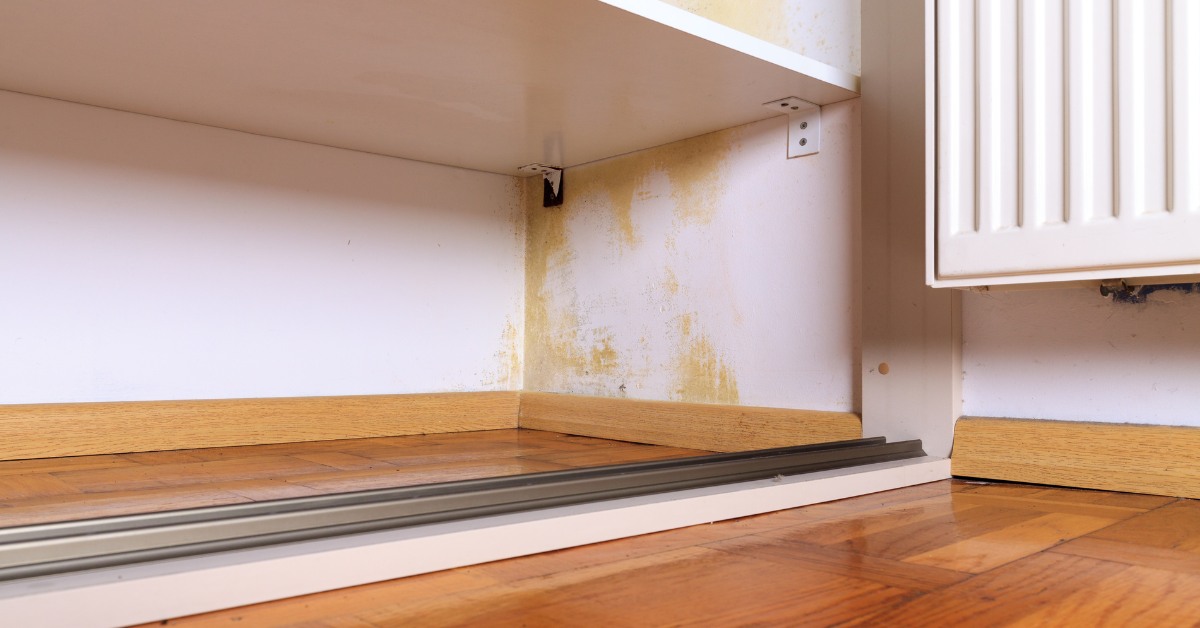 All About Restoration Blog Post - Best Practices for Handling Water Extraction After Flooding